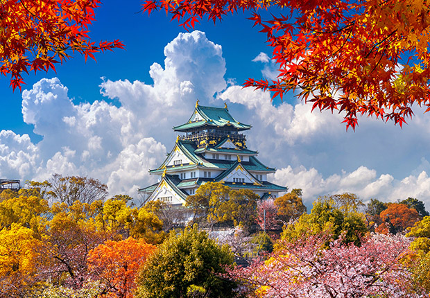 C3229-Japón y Corea del Sur