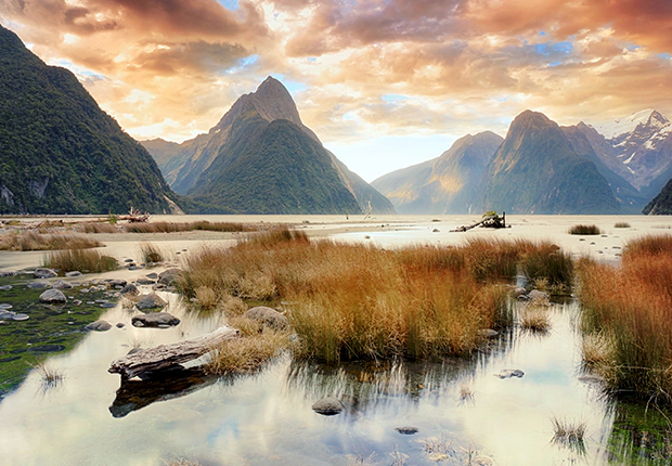 C4126-Nueva Zelanda al Completo